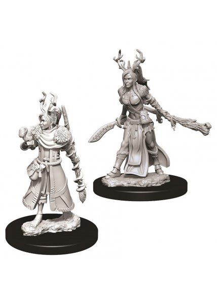 D&D Nolzur's Marvelous Unpainted Miniatures: Female Human Druid